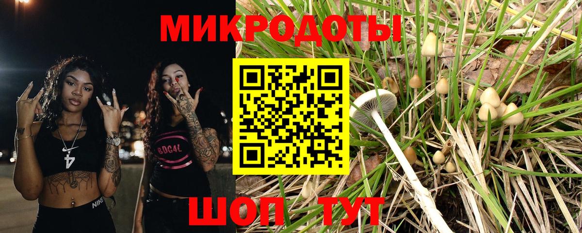 Галлюциногенные грибы мицелий Лабытнанги